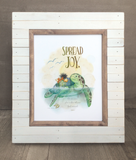 Sea Turtle | Kindness