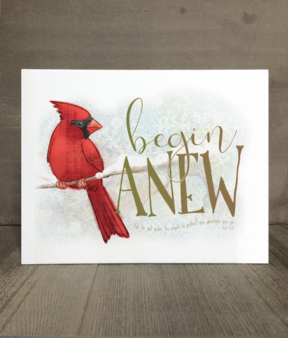 Begin Anew | Cardinal